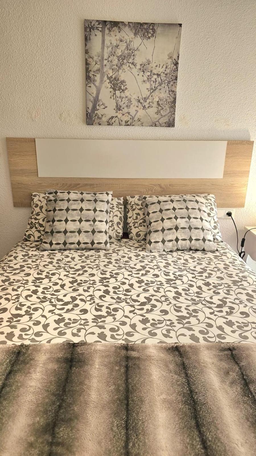 Ideal One Bedroom Center Apartament *